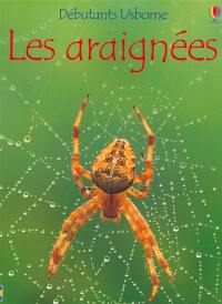 Les araignées