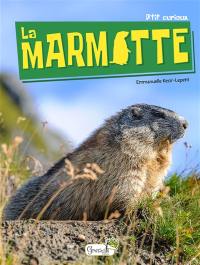 La marmotte