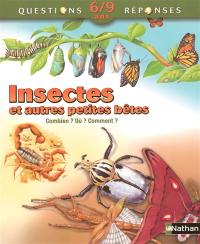 Insectes et autres petites bêtes