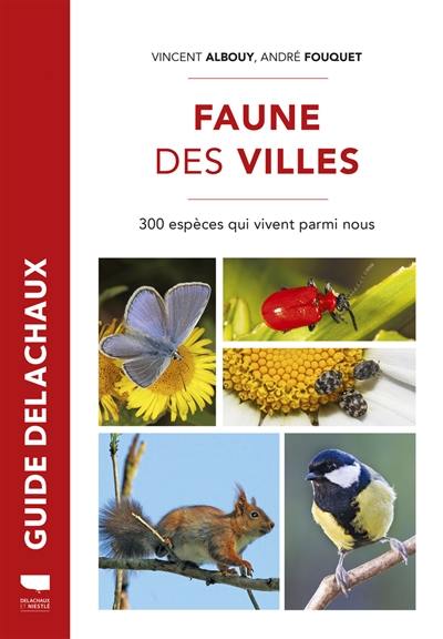 Faune des villes : 300 espèces qui vivent parmi nous