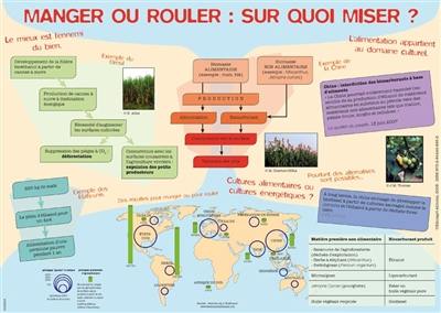 Manger ou rouler, sur quoi miser ?