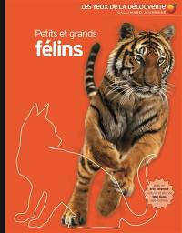 Petits et grands félins