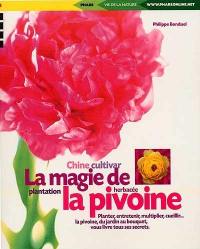 La magie de la pivoine