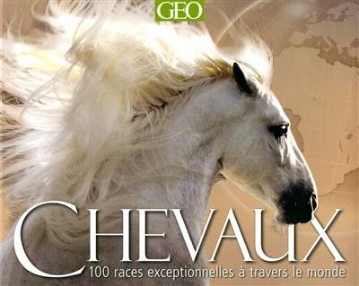 Chevaux : 100 races exceptionnelles à travers le monde