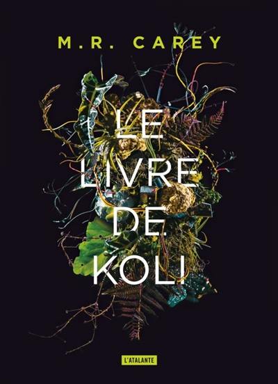 Rempart. Vol. 1. Le livre de Koli