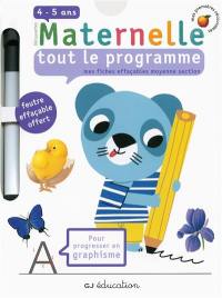 Découvertes maternelle, tout le programme : mes fiches effaçables moyenne section, 4-5 ans : pour progresser en graphisme