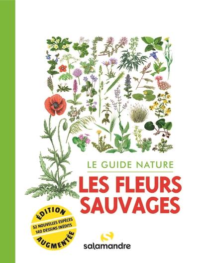 Les fleurs sauvages : le guide nature