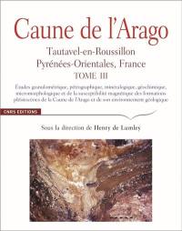 Caune de l'Arago : Tautavel-en-Roussillon, Pyrénées-Orientales, France. Vol. 3. Etudes granulométrique, pétrographique, minéralogique, géochimique, micromorphologique et de la susceptibilité magnétique des formations pléistocènes de la Caune de l'Arago et de son environnement géologique