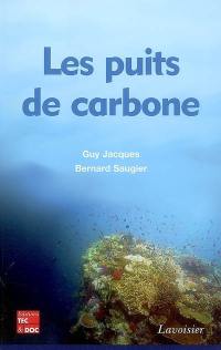 Les puits de carbone