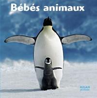 Bébés animaux