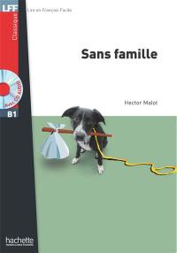 Sans famille : niveau A2-B1