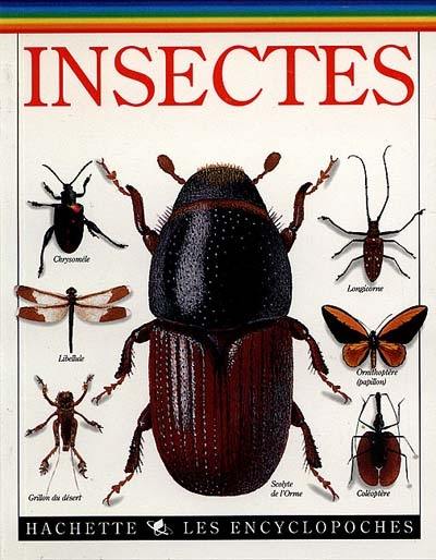 Insectes