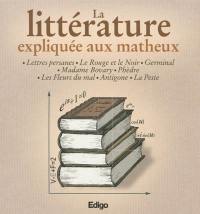 La littérature expliquée aux matheux