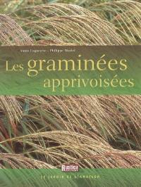 Les graminées apprivoisées