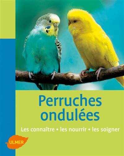 Perruches ondulées : les connaître, les nourrir, les soigner