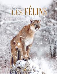 Les félins