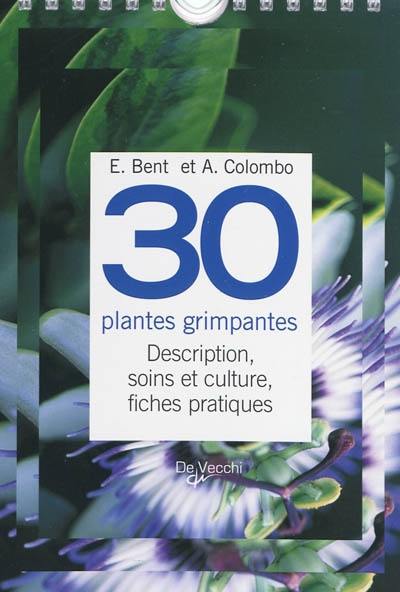 30 plantes grimpantes : description, soins et culture, fiches pratiques