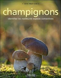 Champignons : identifier les meilleures espèces comestibles