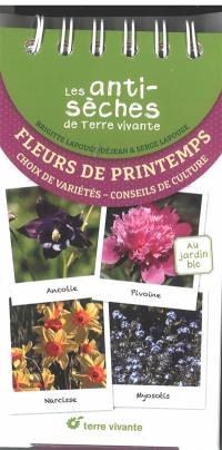 Fleurs de printemps : choix de variétés, conseils de culture : au jardin bio