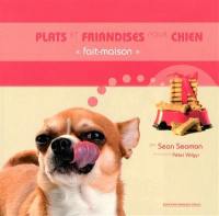 Plats et friandises pour chien fait maison