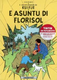 E aventuranan di Kuifje. Vol. 2008. E asuntu di Florisol