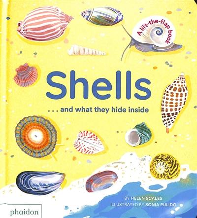 Shells... and what they hide inside