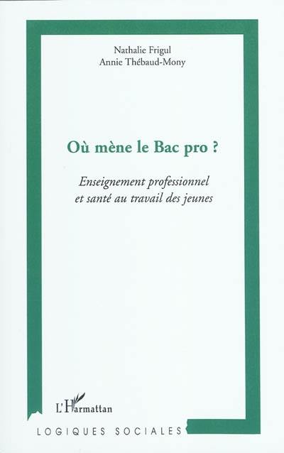 Où mène le Bac pro ? : enseignement professionnel et santé au travail des jeunes