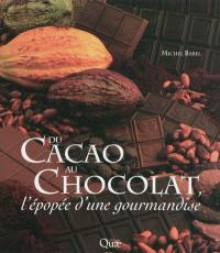 Du cacao au chocolat : l'épopée d'une gourmandise