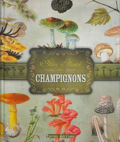 Atlas illustré des champignons