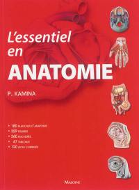 L'essentiel en anatomie