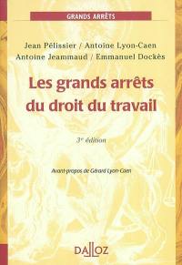 Les grands arrêts du droit du travail : 2004