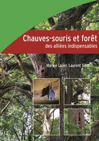 Chauves-souris et forêt, des alliées indispensables