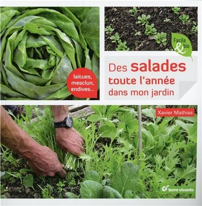 Des salades toute l'année dans mon jardin : laitues, mesclun, endives...