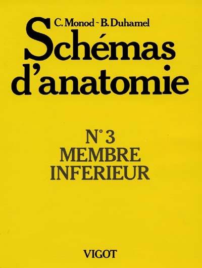 Schémas d'anatomie. Vol. 3. Membres inférieurs : organes et régions