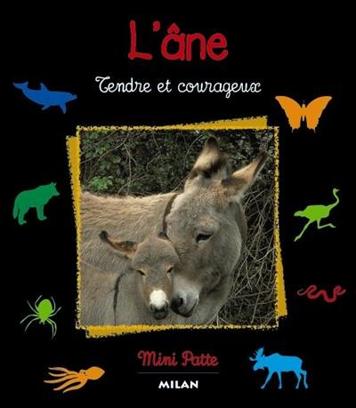 L'âne : tendre et courageux