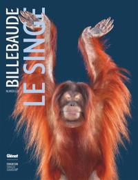 Billebaude, n° 23. Le singe