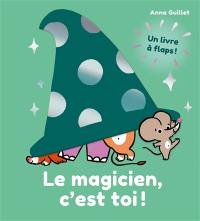 Le magicien, c'est toi ! : un livre à flaps !