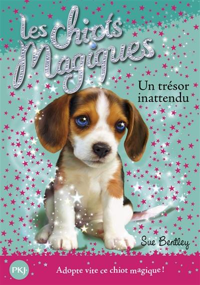 Les chiots magiques. Vol. 14. Un trésor inattendu