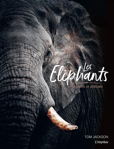 Les éléphants : puissants et délicats