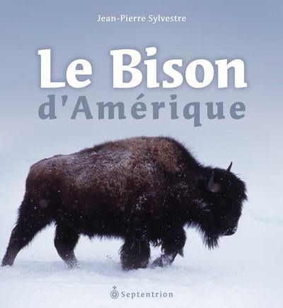 Le bison d'Amérique