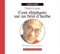 Cent éléphants sur un bri d'herbe