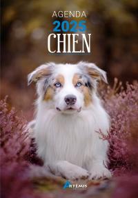 Chien : agenda 2025