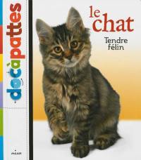 Le chat : tendre félin