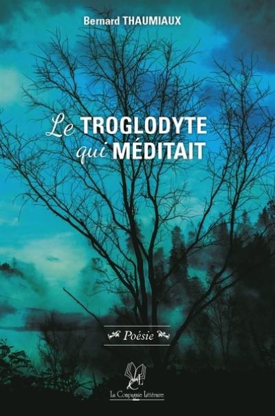 Le troglodyte qui méditait