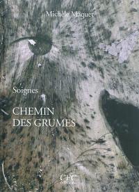 Soignes : chemin des grumes