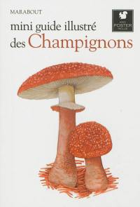 Mini guide illustré des champignons