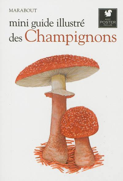 Mini guide illustré des champignons