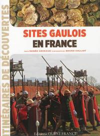 Sites gaulois en France