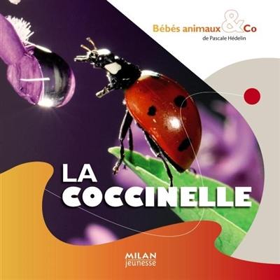 La coccinelle