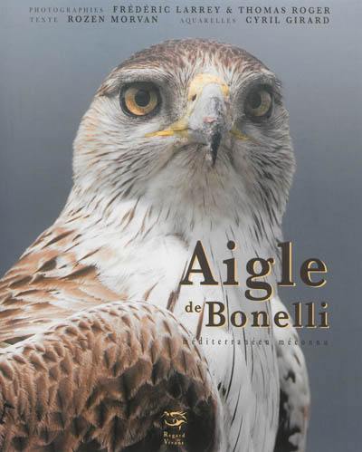 Aigle de Bonelli : méditerranéen méconnu